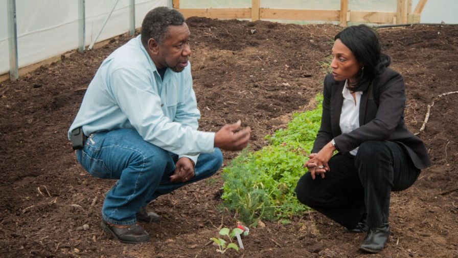 A farmer and USDA official inspecting crops in a hoop house, regarding access to credit as a challenge in the farm bill