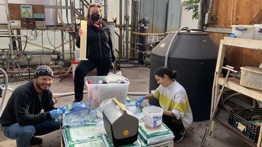 (Left to Right) Henry Gonzalez, Dr. Gemma Reguera, and Marcela Tabares collecting water samples from a commercial-scale woodchip bioreactor