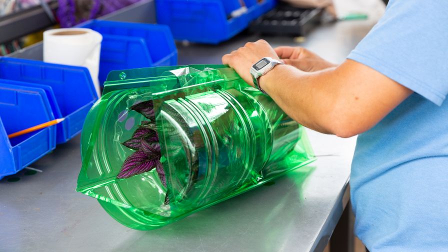 Plant and flower plastic packaging from worker at Metrolina Greenhouses