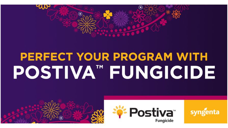 Postiva fungicide graphic banner announcement for ornamental growers from Syngenta