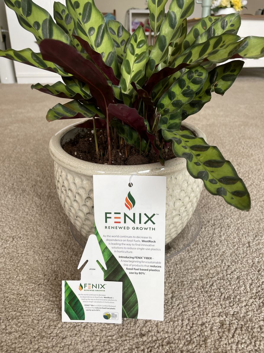 Smurfit Westrock Fenix tags