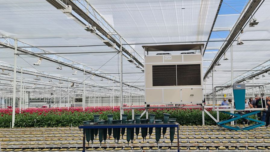 Summit Gerbera Growers energy savings using DryGair humidity and dehumidification equipment technology applications