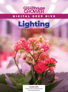 2024 October Digital Deep Dive cover on Lighting