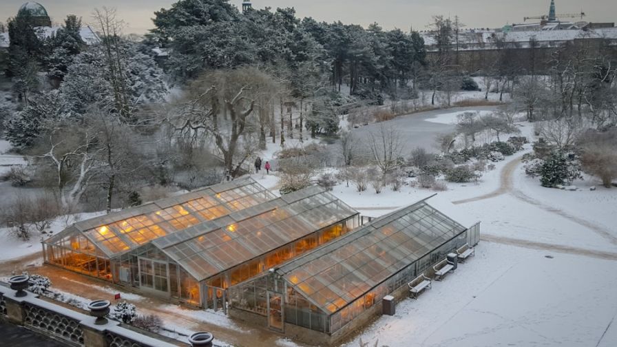 A greenhouse lit up with lights and growing plants and surrounded by winter, autumn, and fall weather and snow