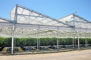 The Agra Tech Sawtooth single slope truss covering design for improved ventilation and plant health.