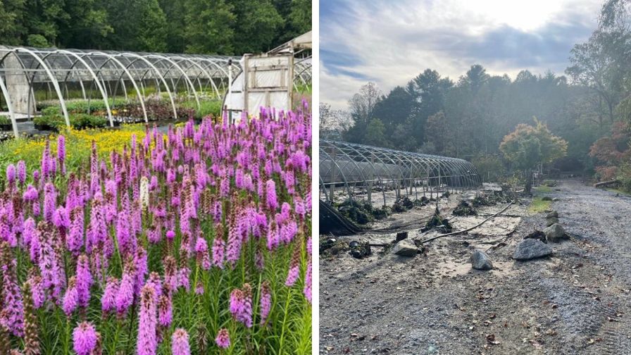 Botanical Treasures Nursery before (Left) and after (Right) Hurricane Helene