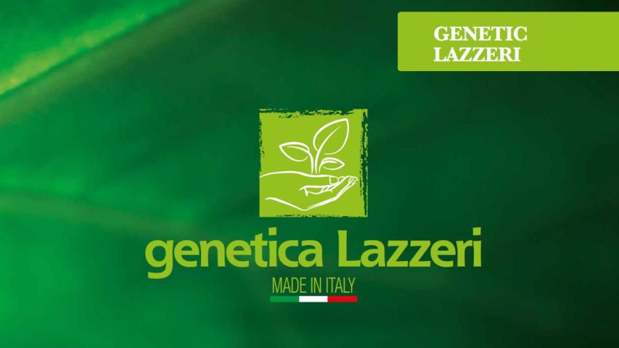 Genetic Lazzeri or genetica Lazzeri brand division logo with Made in Italy marker, responsible for the Duna ColorBlast varieties