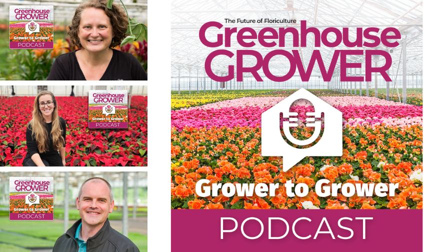 Denise Godfrey of Olive Hill Greenhouses (Top), Michelle Opela of Costa Farms (Middle), and Aren Phillips of Walters Gardens (Bottom), for the Greenhouse Grower to Grower Podcast