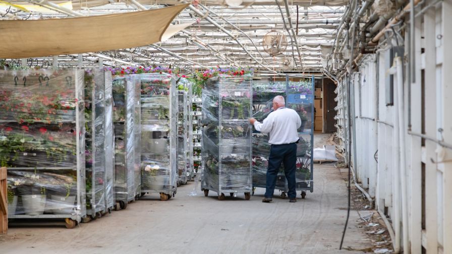 Hortica overlooked greenhouse insurance options