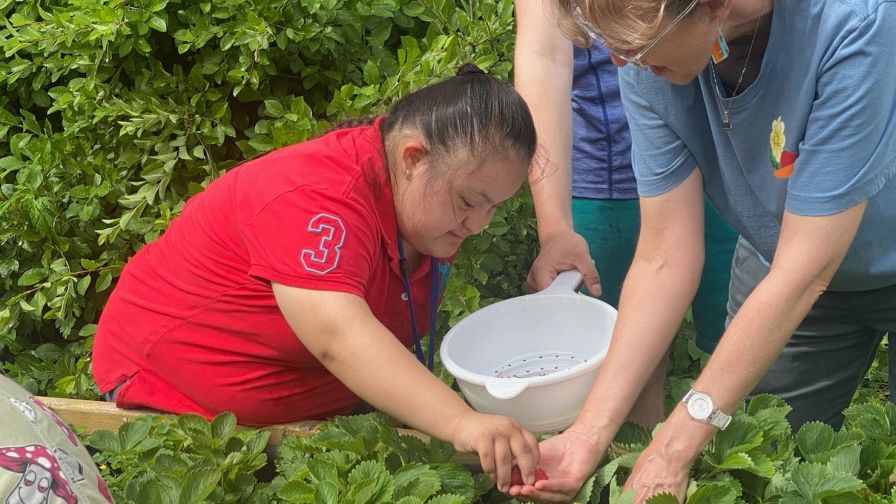 Horticulture therapy being undertaken at the City Green therapeutic gardens of Clifton, NJ