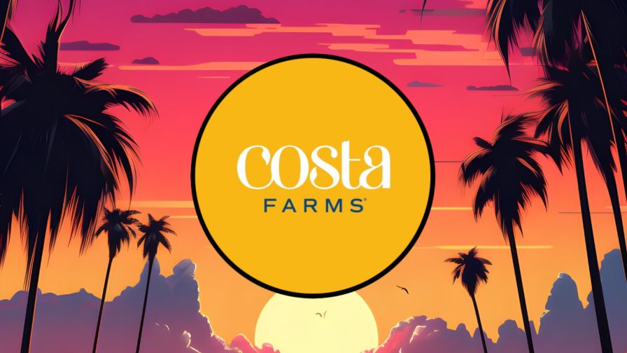 Costa Farms Unveils New Christmas and Holiday Décor and Plants