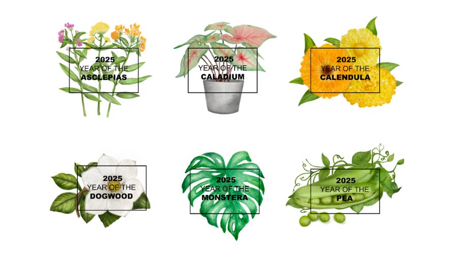 The six featured plants from the National Garden Bureau (NGB) 2025 Year of the Plant Campaign