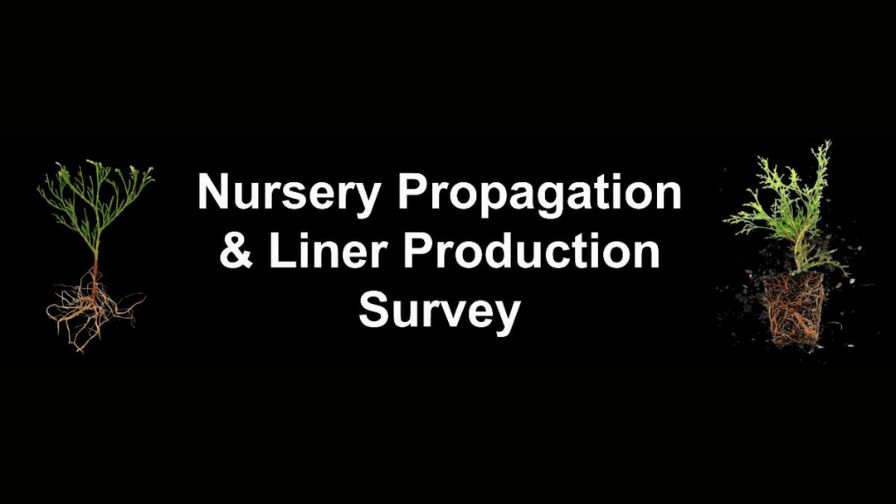 The Ohio State University Woody Ornamental survey