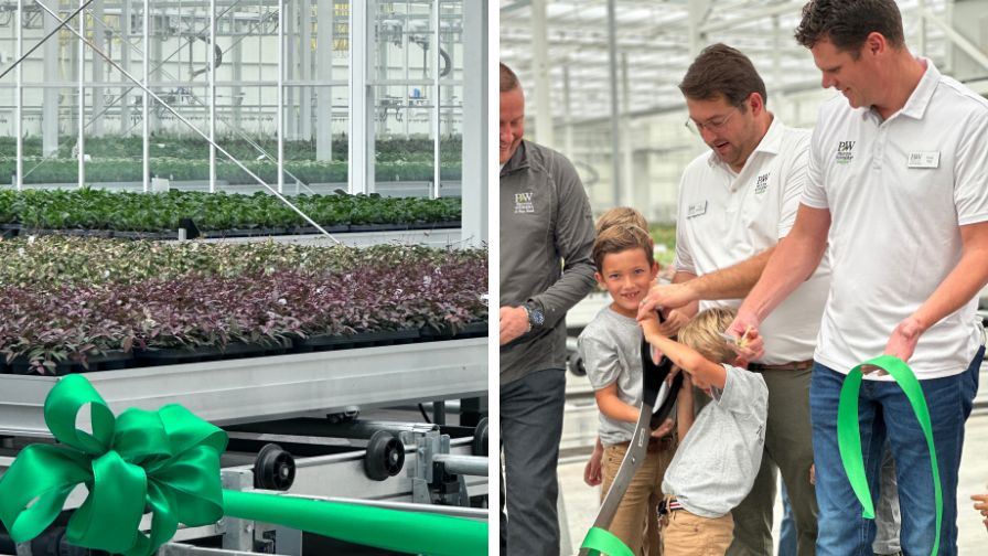 The Plant Company ribbon cutting ceremony on new high-tech greenhouse expansion space