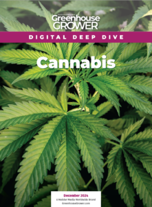 2024 December Digital Deep Dive cover on Cannabis