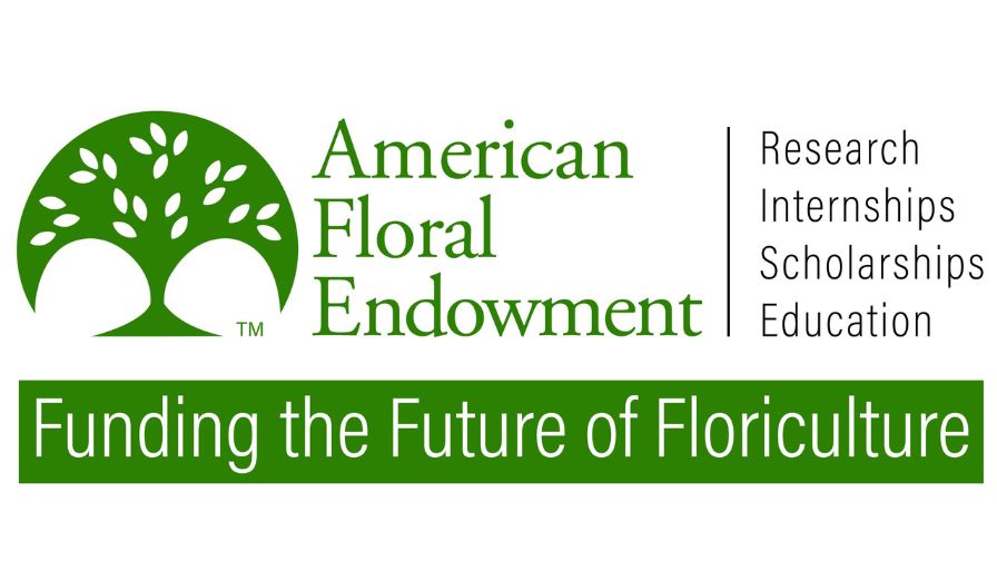 The primary logo of the American Floral Endowment (AFE)