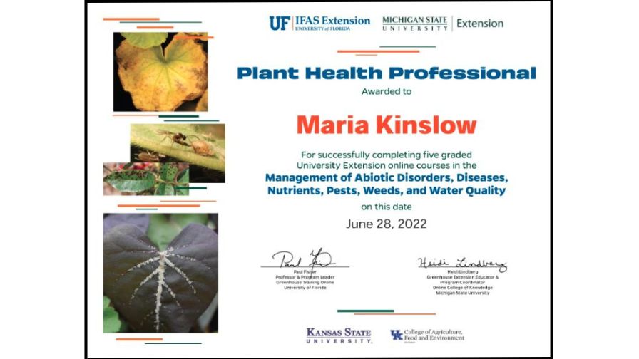 MSU and UF Plant Health Professional certificate program example