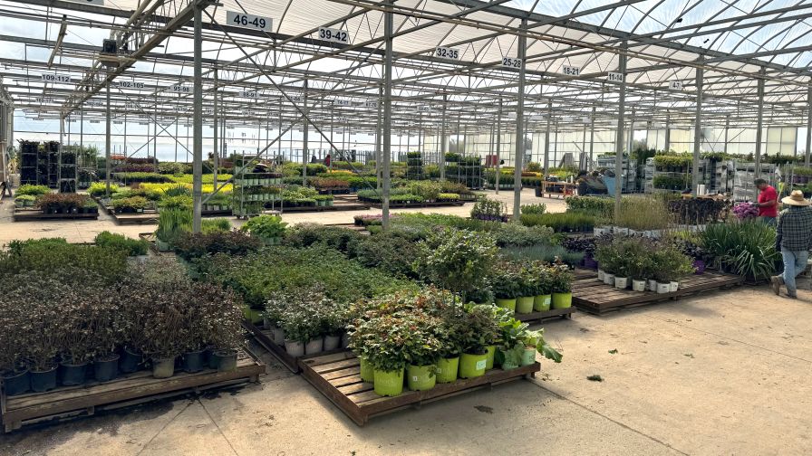 Capacity improvement and inventory inside Willoway Nurseries location for spring shipping.