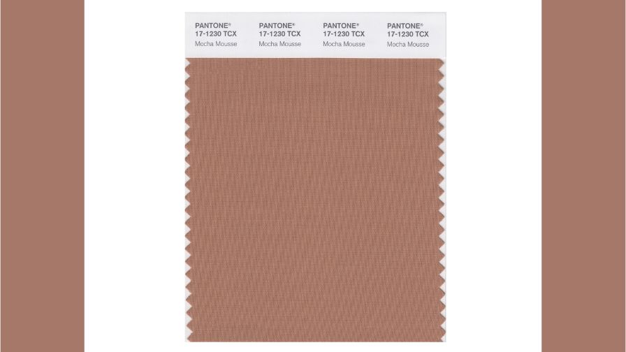 PANTONE 17-1230 Mocha Mousse, the Pantone Color of the Year 2025