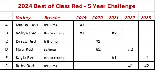 Plantpeddler - Poinsettia Variety Day 2024 - Best of Class Red - 5 Year Challenge