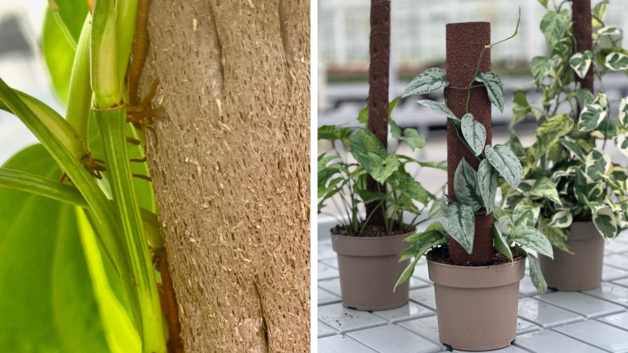 Climb-itt, an all-natural houseplant support system in the leafjoy line of products, introduced by The Plant Company