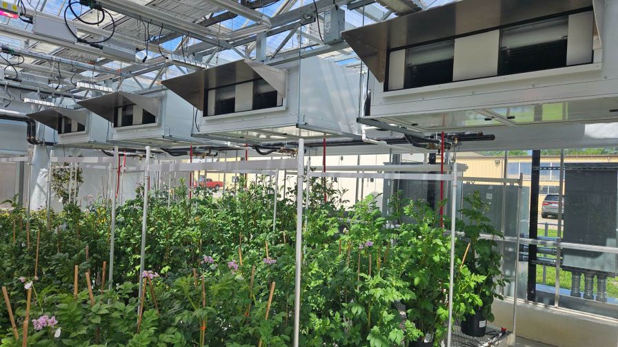 BioTherm’s advanced climate systems, including these air handlers, are key to creating sustainable and productive environments in greenhouses — proud to be recognized as a top 50 company in sustainable agriculture for CEA.