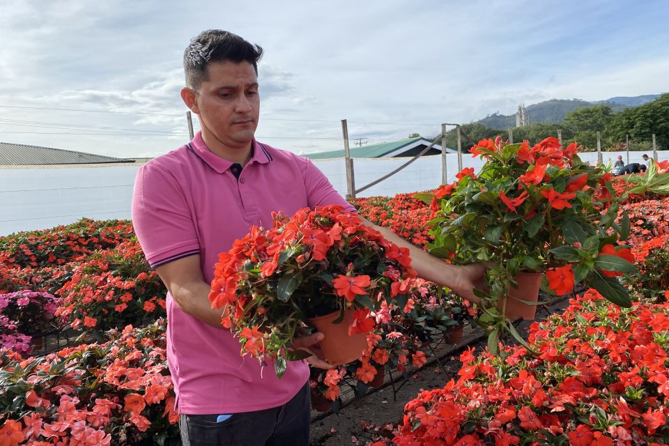 Plant Breeder Edison Quiros of Ball Horticultural Company