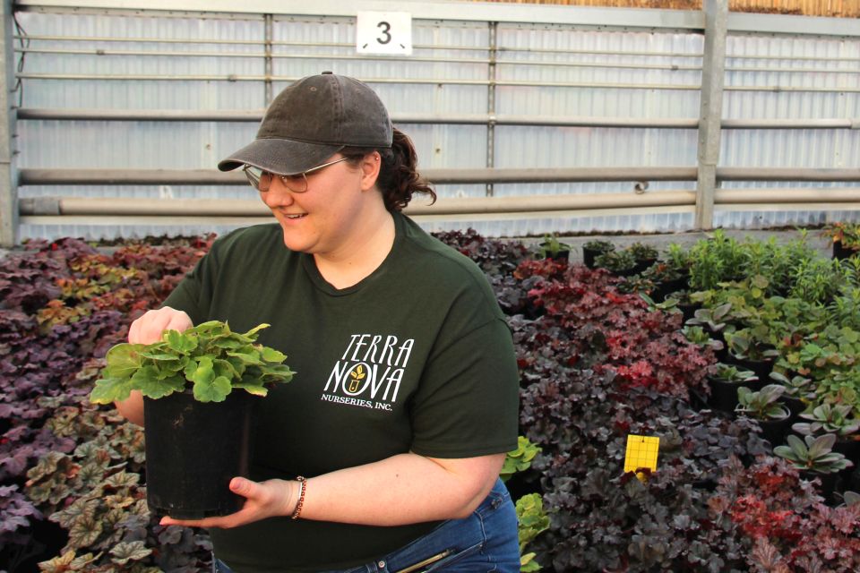 Trials Manager Eleanor Jolley of Terra Nova Nurseries