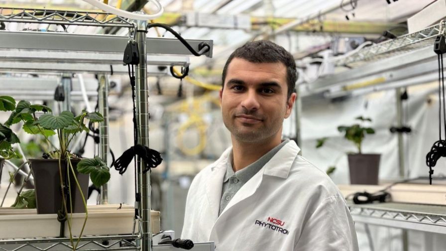 Moein Moosavi-Nezhad is earning his Ph.D. in CEA strawberry propagation at North Carolina State University.