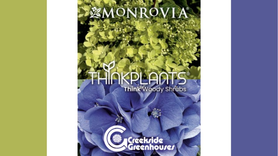 Shrub Program banner with Monrovia, ThinkPlants, and Creekside Greenhouses