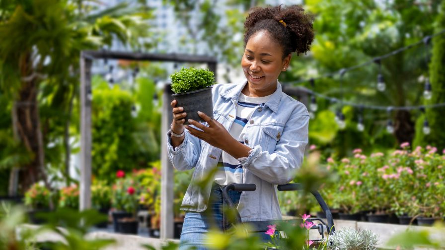 Young African customer is choosing exotic plant from the local garden center nursery with shopping cart full of summer plant for weekend gardening and outdoor pursuit.