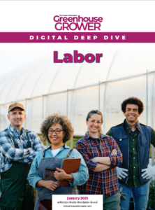 2025 January Digital Deep Dive cover on Labor