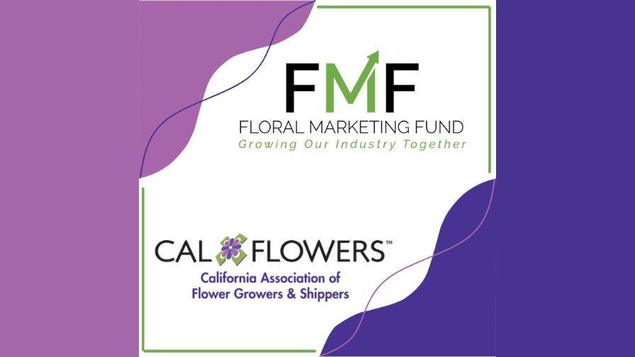Banner of the Floral Marketing Fund (FMF) and CalFlowers announce a new partnership to advanced the floral industry.