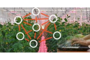 The MeshIQ Wireless Control System enables precise lighting control through a wireless mesh network.