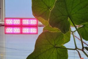 The multi-channel ParFX Ultra Max is the newest addition to the Ultra LED product line.