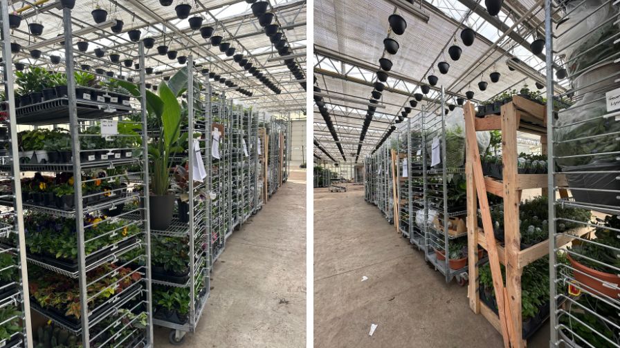 Interior of Van Wingerden Greenhouses, Inc. with racks and orders for customers.