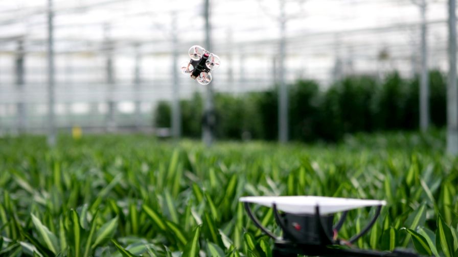 "By sampling a little bit of the airspace, you can tell a lot about the pests that are present. We were able to spot a pest sometimes three generations earlier than can be done with trap scouting efforts." - Bram Tijmons, CEO and co-founder at PATS Drones.
