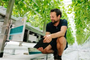 Precision Irrigation Management (PIM) helps growers maintain full control of the entire irrigation cycle to optimize and save on resource costs.