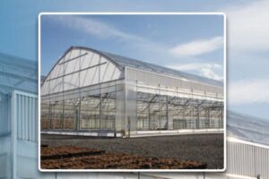 Made from ROLL-FORM steel for unparalleled structural integrity, the Arch 6500 series is the latest versatile greenhouse offering from Conley's.