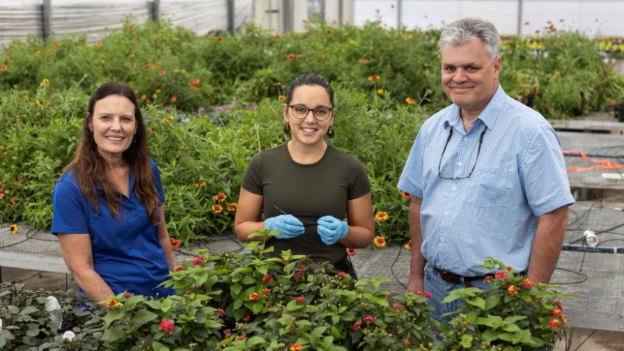 From left, Environmental Horticulture Professor Sandra Wilson, Doctoral Student Vanesa Rostán and Chris Wilson, interim chair of the UF/IFAS Soil, Water and Ecosystem Sciences department.
