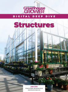 June 2025 Digital Deep Dive cover on Structures.