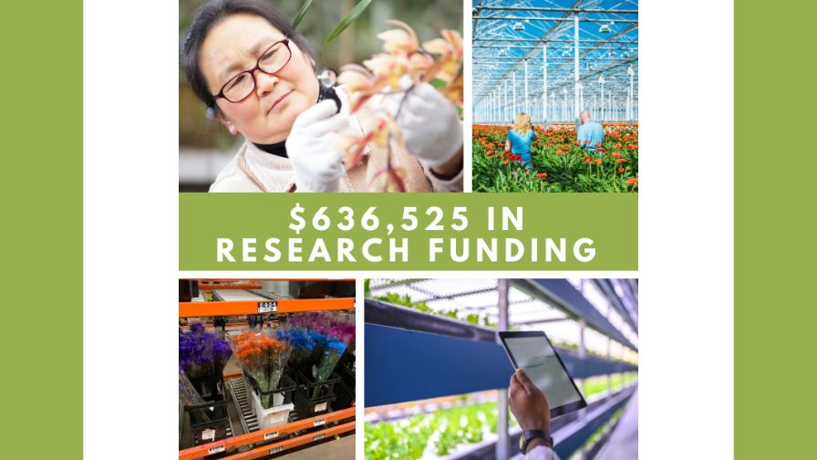 In 2025-2026, the American Floral Endowment (AFE) is funding 12 research projects for a total of $636,525.