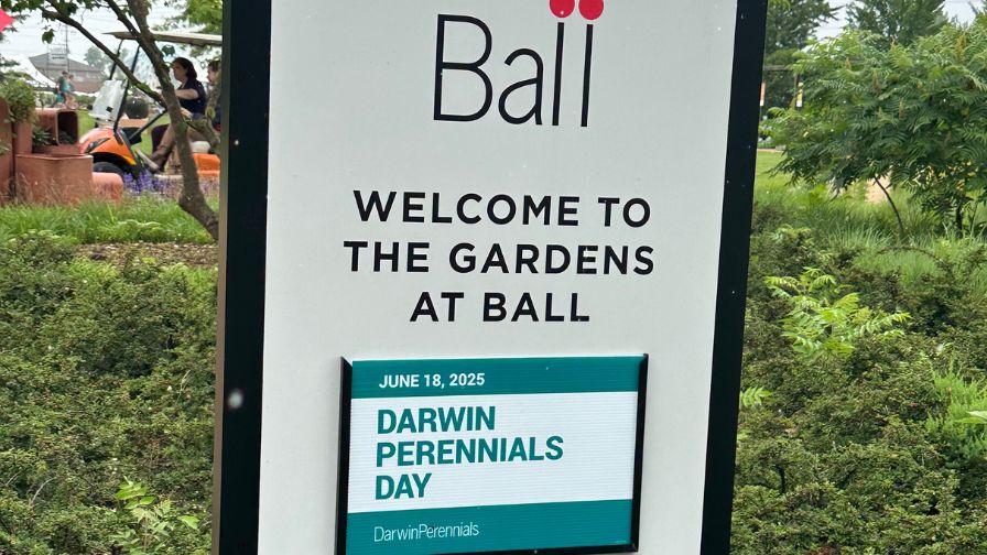Darwin Perennials Day, North America’s premier perennial event, took place on June 18 in The Gardens at Ball in West Chicago, IL. The event connects perennial growers, garden center businesses, and professional landscapers with top plant suppliers across North America.