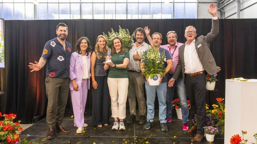 Celebrating the Digitalis ‘Hanabee F1 White’ winning the 2025-2026 FleuroStar Award.