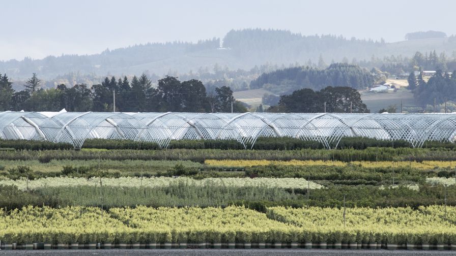 Monrovia's Dayton, OR, nursery and new headquarters location.