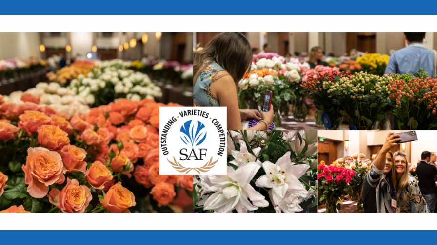 2025 Outstanding Varieties Competition banner, from the Society of American Florists.