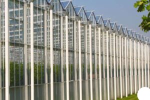 Available in three designs, Venlo Glass Greenhouses use CASTA design software to create each operation's ideal custom greenhouse solutions.