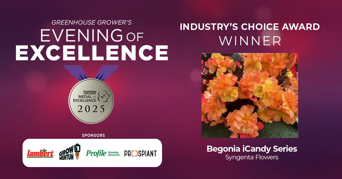 Evening of Excellence at Cultivate'25, Medal of Excellence Industry's Choice Award, Begonia iCandy Series from Syngenta Flowers.