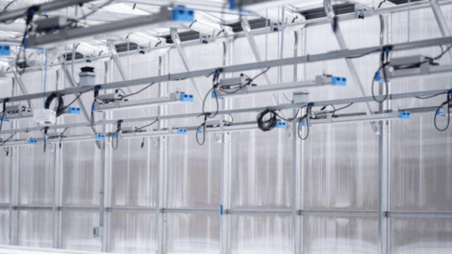 Are you planning to make other greenhouse equipment upgrades? Glazing and lighting are two additional improvements to consider.