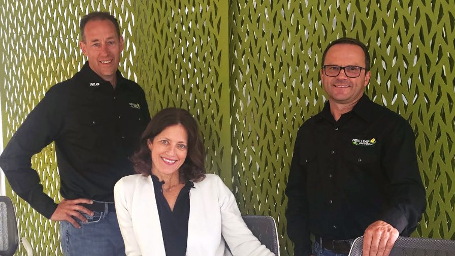 Meet the current ownership team at New Leaf Growers (Roy Den Hollander, Kristine Lonergan, and Head Grower Seweryn Uchacz).